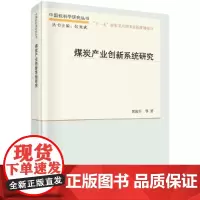 煤炭产业创新系统研究