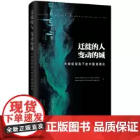 迁徙的人 变动的城:大数据视角下的中国城镇化