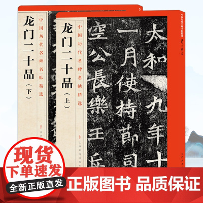 龙门二十品上下2册 中国历代名碑名帖精选 毛笔楷书碑帖简体旁注 魏碑书法范本北魏毛笔字帖书法 成人学生临摹临帖练习古帖碑