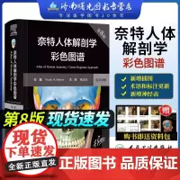 奈特人体解剖学彩色图谱 第8版最新版临床医学外科学教材书法医局部系统断层尸体解刨破学书籍全身正常医学实用动态全彩图鉴人卫
