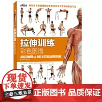 正版 拉伸训练彩色图谱 体育理论 书籍xj