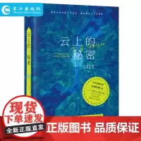 正版 云上的秘密 P Z 莱辛著 外国文学科幻爱情喜剧小说 AI智能数字时代“西雅图未眠夜”式的爱情日记