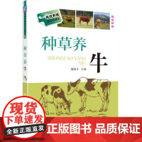 种草养牛 牛病防治手册 种草养牛技术指南 种草养牛控制技术 种草养牛牛场建设 养牛牲畜业 养牛技巧大全 肉牛饲养管理养牛