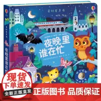 [接力出版社]尤斯伯恩奇妙发声书 夜晚里谁在忙 精装彩色插图1到3岁儿童绘本立体翻翻动物早教宝宝图画启蒙认知益智读物玩具
