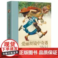 [接力出版社]爱丽丝镜中奇遇名著名译名绘版 彭懿精装7-10岁儿童文学经典童话故事书小学生课外读物语文分级阅读正版书籍