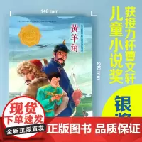 [接力出版社]黄羊角接力杯曹儿童小说获奖书系许廷旺7-10-12-14岁儿童文学课外阅读校园文学故事老师寒暑假阅读书目书