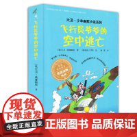 [接力出版社]飞行员爷爷的空中逃亡 大卫少年幽默小说系列 插图7到10岁儿童文学绘本图画故事书 小学生语文课外阅读书籍