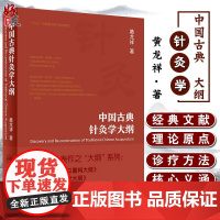 中国古典针灸学大纲黄龙祥代表作之大纲黄龙祥针灸人民卫生出版社针灸9787117288729经络血气中医针灸临床中医师