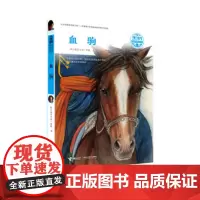 [接力出版社]血驹 黑鹤动物文学系列 插图7到10岁儿童小说故事书 2020年小学生阅读指导书单 曹青少年语文读物书籍