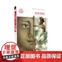 黄昏夜鹰 黑鹤动物文学系列 插图7到10岁儿童小说故事书 2020年小学生阅读指导书单 曹青少年语文读物 接力出版社