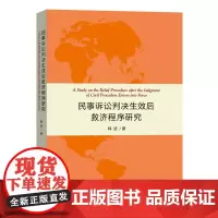 民事诉讼判决生效后救济程序研究 韩波 商务印书馆