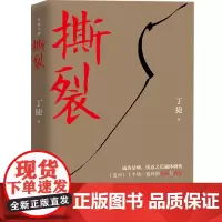 撕裂(作家丁捷继《初心》后文化反腐力作,以的诚恳,近距离逼视真相。)