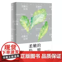 [正版书籍]柔嫩的脸颊