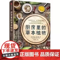 [正版书籍]厨房里的草本植物