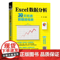 [正版书籍]Excel数据分析:30天吃透数据透视表