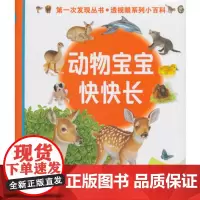 [接力出版社]第一次发现丛书透视眼系列小百科 动物宝宝快快长 3-5-8岁儿童互动探索科普胶片书 小学生课外阅读书籍