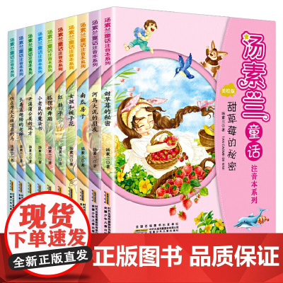 汤素兰童话注音本系列全套共10册开 满蒲公英的地方 彩色注音版小学生童话故事书5-8-10岁一二三年级课外书小老鼠的魔法
