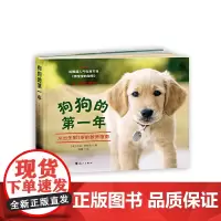 [正版书籍]狗狗的年