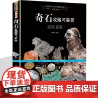 奇石收藏与鉴赏 奇石鉴别方法 养护 石头珍品欣赏 化石玉石观赏石知识入门百科 文化珍藏图鉴大系 艺术品文玩古董收藏鉴定书