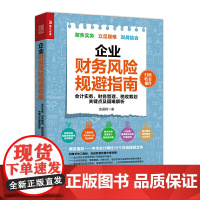 [正版书籍]企业财务风险规避指南 会计实务 财务管理 税收筹划关键点及疑难解析