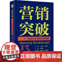 [正版书籍]营销突破--十三家企业的营销战略