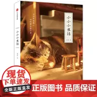 小小小生活