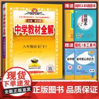 2024春新版薛金星中学教材全解八年级下册语文人教版初二同步练习册测试题课本解析课文讲解参考资料课堂总复习详解训练教辅辅