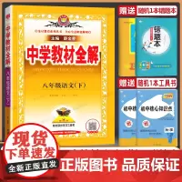 2024春新版薛金星中学教材全解八年级下册语文人教版初二同步练习册测试题课本解析课文讲解参考资料课堂总复习详解训练教辅辅