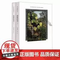虎符传奇(2册) 徐小斌 正版书籍小说书