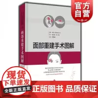 面部重建手术图解 面部与重建 外科学 头颈部修复 皮瓣切取与修复技术 李圣利 程飚主译 上海科学技术出版社