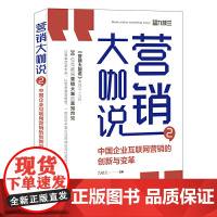 营销大咖说2 中国企业互联网营销的创新与变革