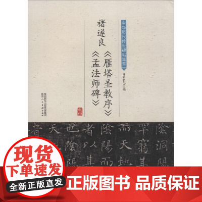 褚遂良《雁塔圣教序》《孟法师碑》 许裕长 编 书法/篆刻/字帖书籍艺术 正版图书籍 陕西人民美术出版社