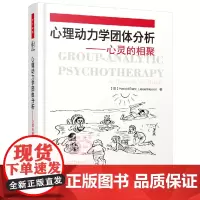 万千心理·心理动力学团体分析——心灵的相聚