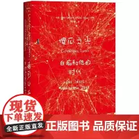 [正版书籍]甲骨文丛书·傻瓜之光:白痴和他的时代