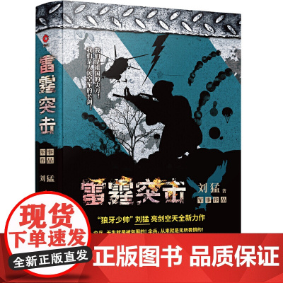 [正版书籍]雷霆突击 “狼牙少帅”刘猛力作