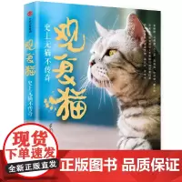 [正版书籍]观复猫:史上无猫不传奇