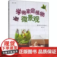 学做家庭植物微景观 (日)早坂诚,(日)中山茜 著 李玲 译 园艺生活 正版图书籍 中国农业出版社