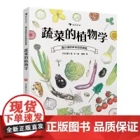 浪花朵朵童书正版 蔬菜的植物学 盛口满的手绘自然图鉴 儿童插图科普百科绘本书籍