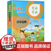 小学生识字宝典 3500字笔画笔顺识字认字书籍 识字大全 小学汉字拼音注音笔画笔顺书 小学生汉字通解识字大王课堂状元笔记