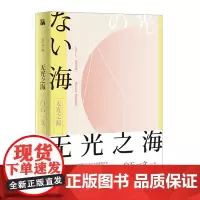 [正版书籍]无光之海