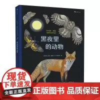 后浪正版 黑夜里的动物 浪花朵朵大开本插画插图儿童动物百科生物科普画册书籍