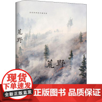 荒野 王十月 著 现代/当代文学文学 正版图书籍 文化发展出版社