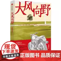 [正版书籍]大风向野