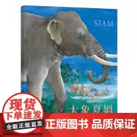 浪花朵朵童书正版 大象夏姆精装本 取自真实事件 人与动物间的温情 幼儿3到6周岁绘本连环画故事书 儿童启蒙图书