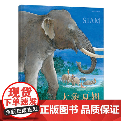 浪花朵朵童书正版 大象夏姆精装本 取自真实事件 人与动物间的温情 幼儿3到6周岁绘本连环画故事书 儿童启蒙图书