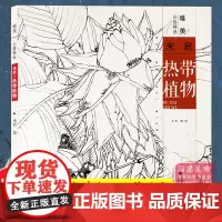 热带植物 未君 唯美白描精选 工笔画花卉技法白描底稿勾线稿毛笔画谱国画 中国现代花卉画作绘画教程书籍 初学者临摹范本画册