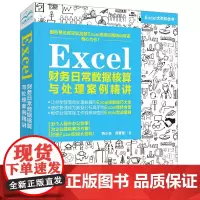 [正版书籍]Excel财务日常数据核算与处理案例精讲