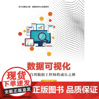 [正版书籍]数据可视化——从小白到数据工程师的成长之路