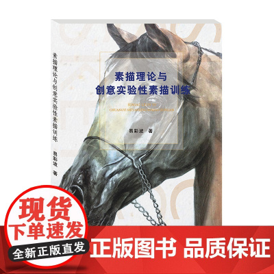 素描理论与创意实验性素描训练 易彩波西南财经大学出版社9787550437241