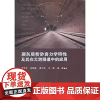 [正版书籍]凝灰质粉砂岩力学特性及其在大跨隧道中的应用